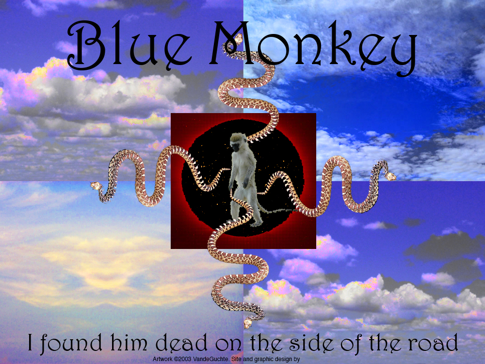 bluemonkey